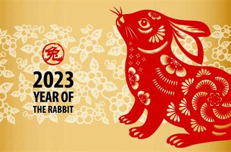 Lunar New Year: Year of the Rabbit celebrated in New York City